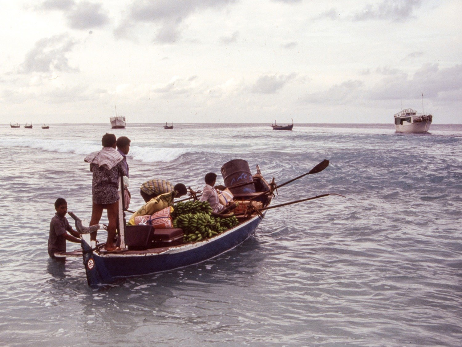 މާޒީގެ ތެރެއިން ފުވައްމުލަކަށް އަރައި ފޭބުން