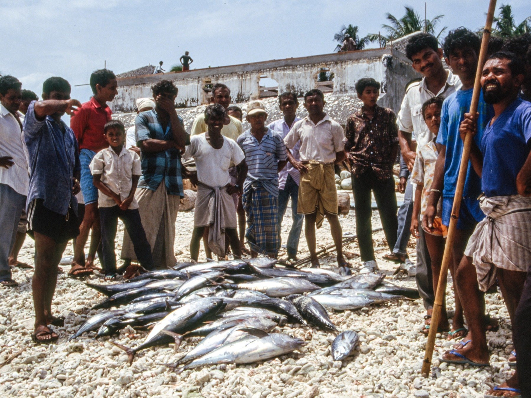 ފުވައްމުލަކުގައި ބަނދަރު ހެދުމުގެ ކުރިން ބޭނުންކުރި ރަސްގެފަންނު ގޮނޑުދޮށުގައި މަސްވެރިން މަސް ވިއްކަނީ. ފޮޓޯ: ޕީޓާ މޯ
